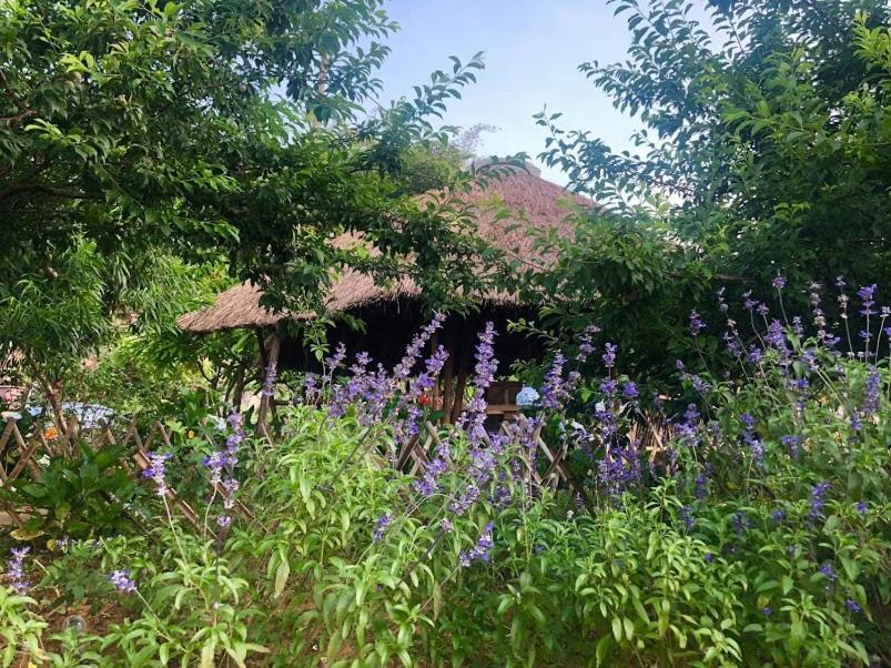 Savana Mộc Châu Moc Chau Exterior foto