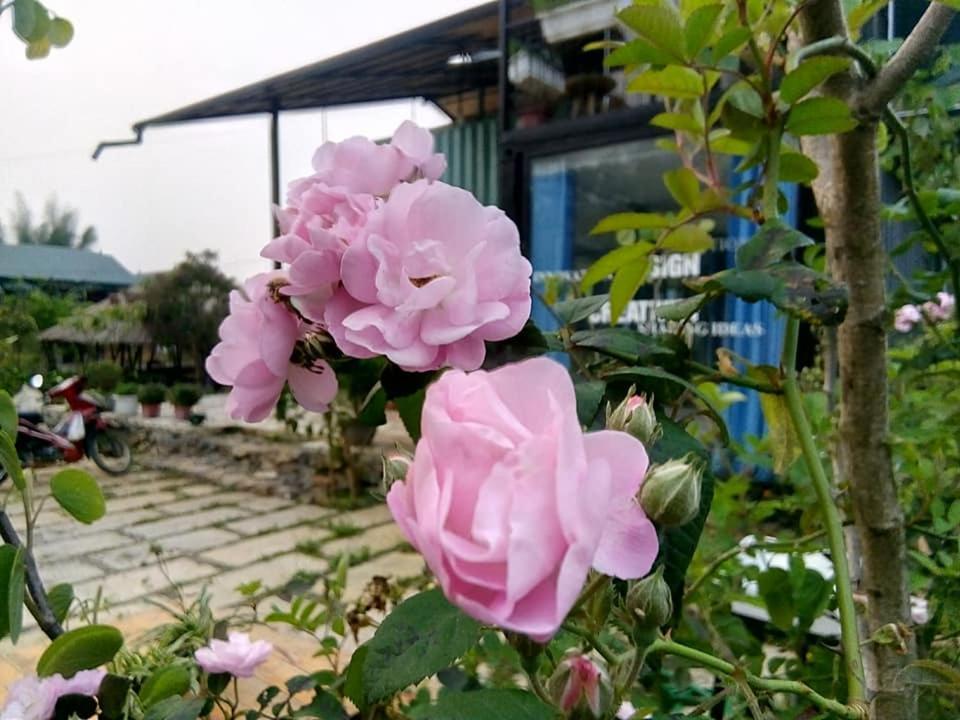 Savana Mộc Châu Moc Chau Exterior foto